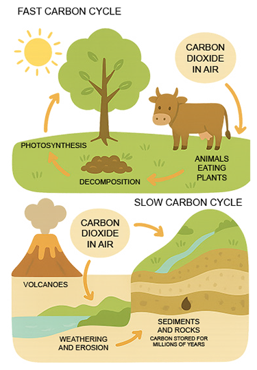 Backgrounds 1761006910 a3 climate copy %281%29