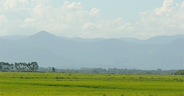 Backgrounds 1754854690 grasslands a5savanna