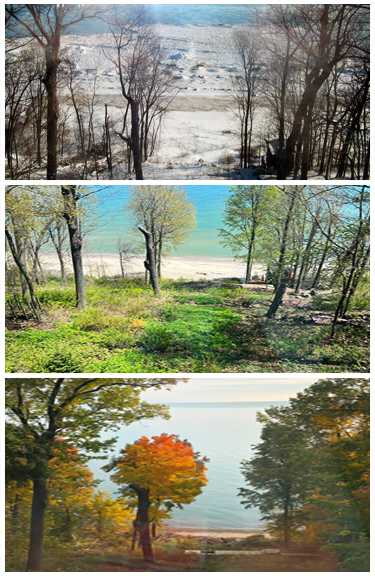 Backgrounds 1758462424 climate change a1 375 %281%29