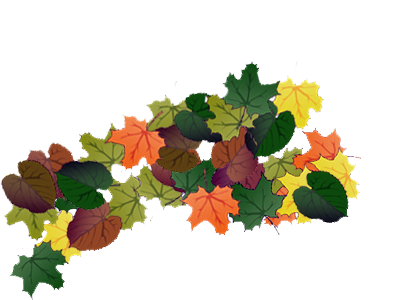 Backgrounds 1423862682 tree identification activity 01
