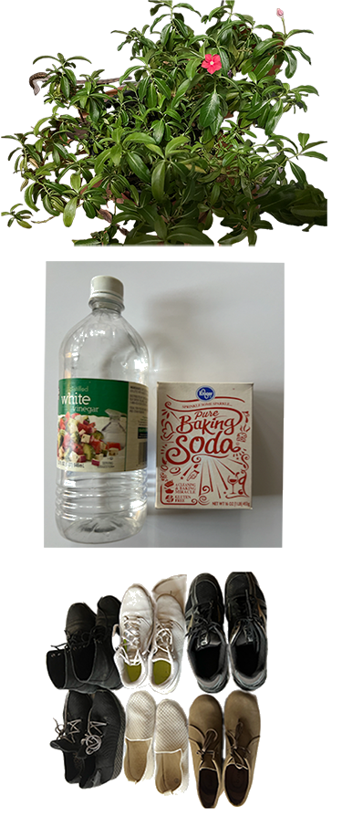 Backgrounds 1762882559 indoor air qualtiy clearners