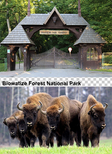 Backgrounds 1768250665 natpreserves a1