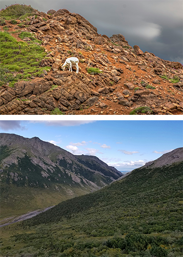 Backgrounds 1768855935 nature preserves   a4   375