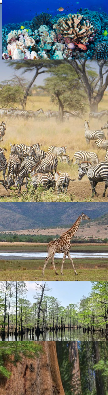 Backgrounds 1770233709 nature preserves a7