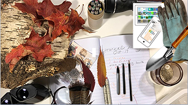 Backgrounds 1761061454 nat journ a1