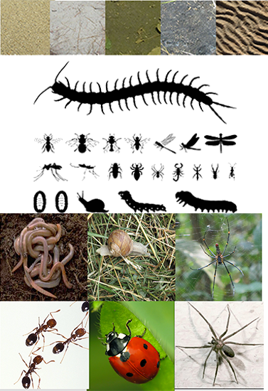 Backgrounds 1760982489 natjourn a3