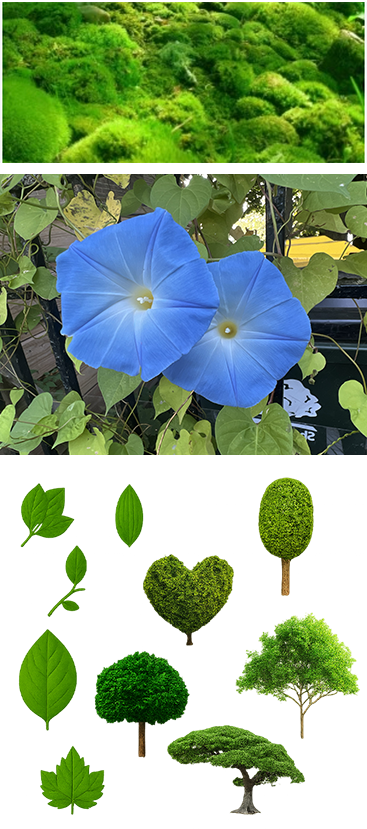 Backgrounds 1761071197 natjourn plants