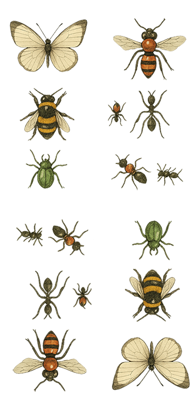 Backgrounds 1761167392 a7 natjour 1 2