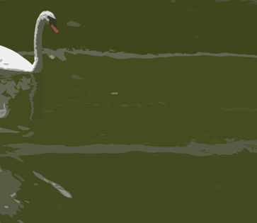 Backgrounds 1423864598 birds activity 02