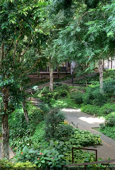 Backgrounds 1766763148 ford foundation