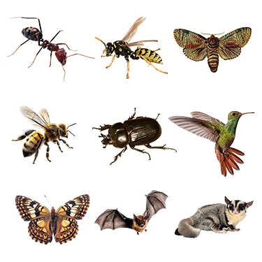 Backgrounds 1770336926 unnamed