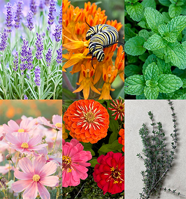 Backgrounds 1770561682 unnamed 1