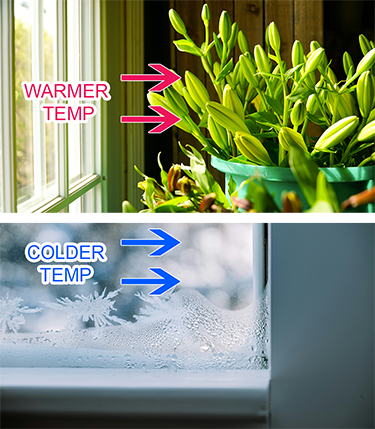 Backgrounds 1774204051 human temp range   a3   375