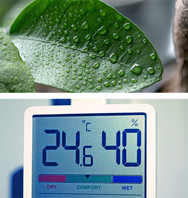 Backgrounds 1774204067 human temp range   a4   375