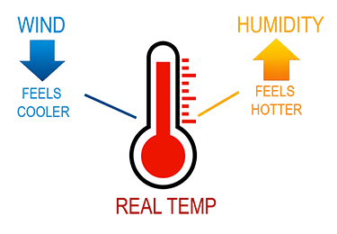 Backgrounds 1774616610 human temp range   a6   375