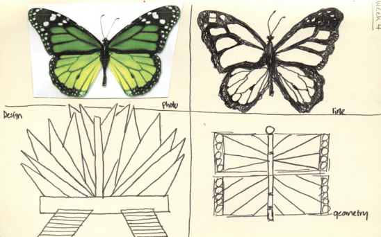 Images 1423861172 naturepattern a4 jmaeng