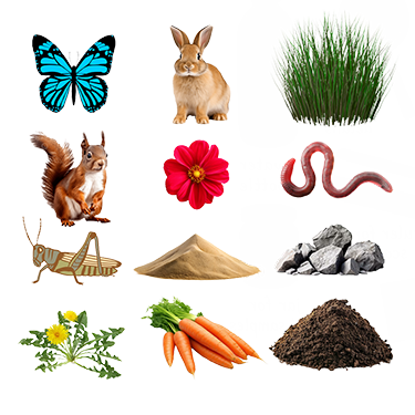 Images 1761486895 a3 natjour