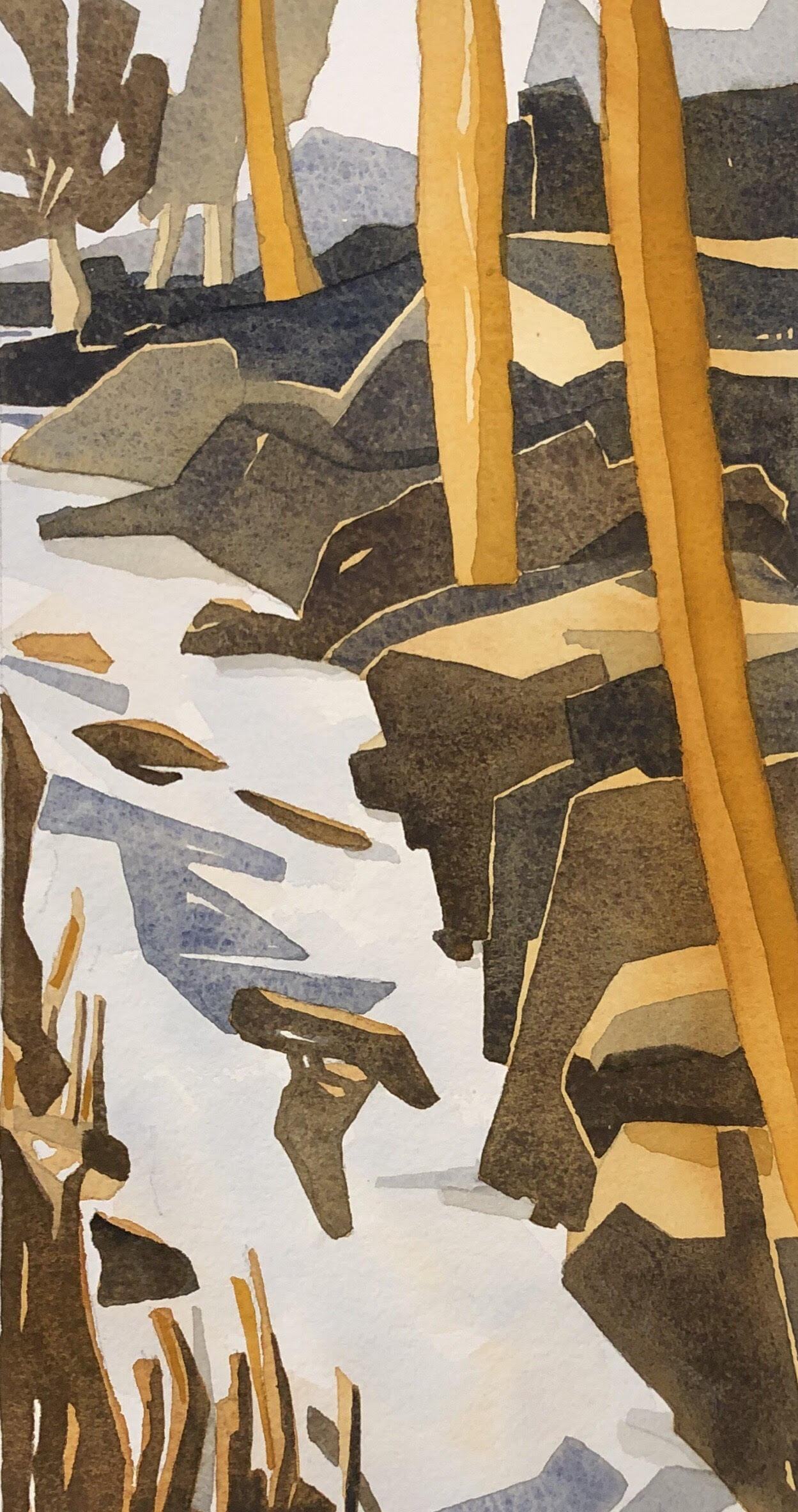 Images 1765562938 painting pe water color