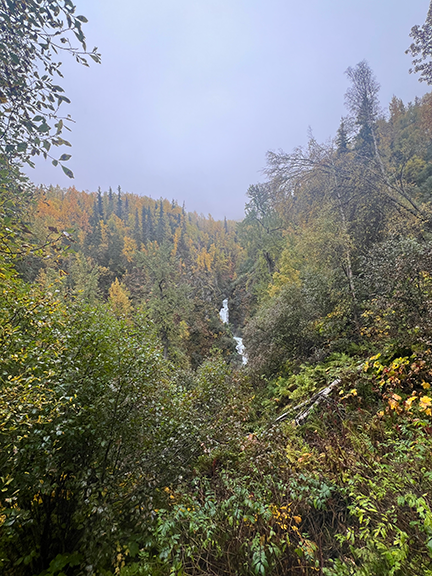 Images 1771454915 alaska chugach national forest