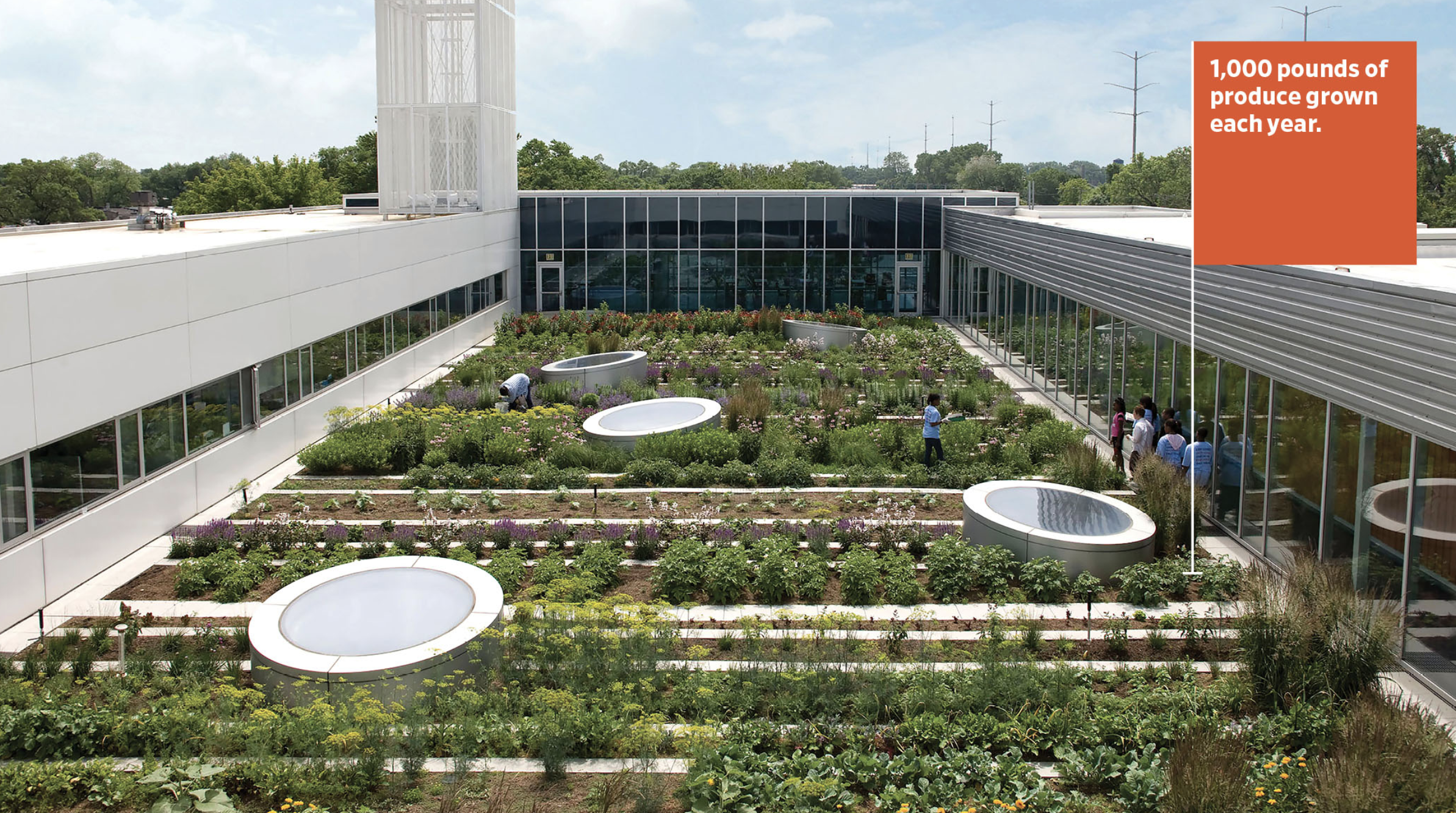 Images 1756146329 gary comergreen roofs