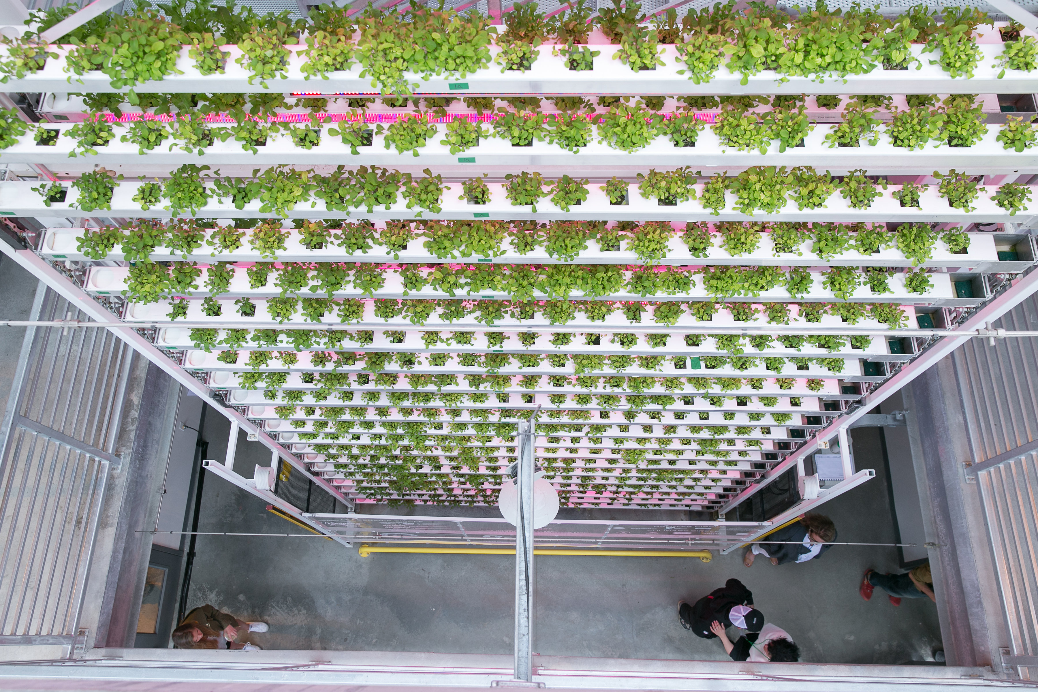 Images 1781962001 vertical farming