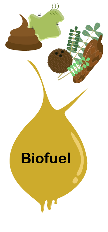 Description backgrounds 1569283393 biofuel intro 72dpi