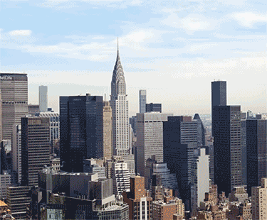 Description backgrounds 1756680438 375