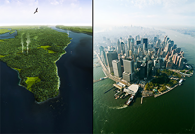 Description backgrounds 1767554897 biophilic cities intro