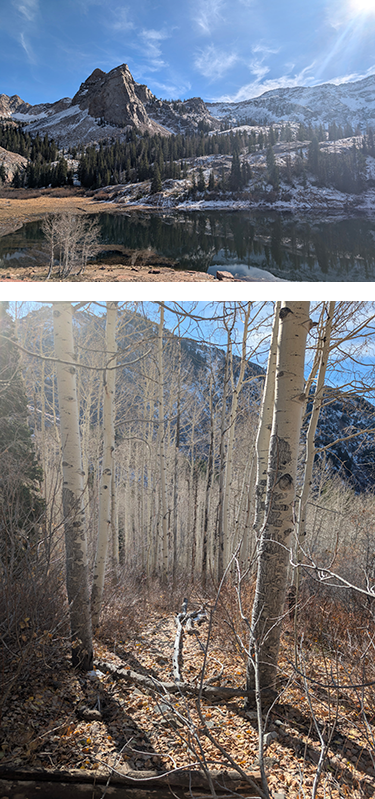 Description backgrounds 1762180753 np intro